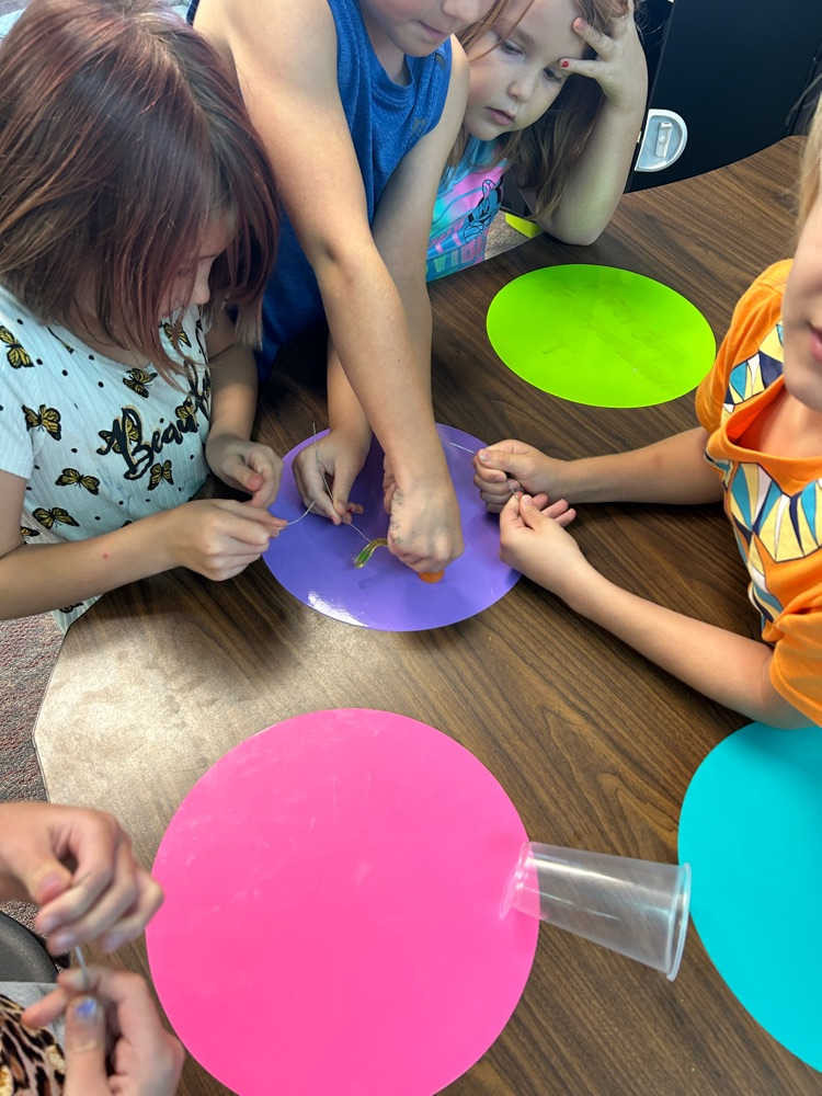Miss Hollar’s 3rd grade did a team building activity called “Save Fred”. They had to get the gummy worm from the top of the cup to inside the lifesaver only using paper clips. They had so much fun and there was a lot of giggles! #HESRedHawks