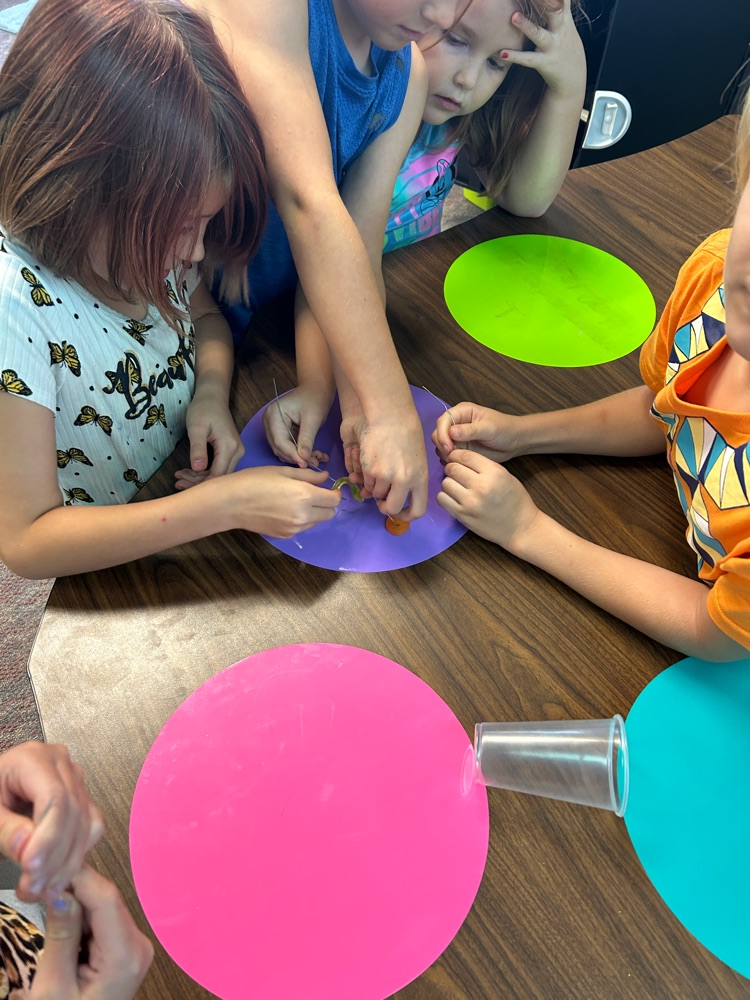 Miss Hollar’s 3rd grade did a team building activity called “Save Fred”. They had to get the gummy worm from the top of the cup to inside the lifesaver only using paper clips. They had so much fun and there was a lot of giggles! #HESRedHawks