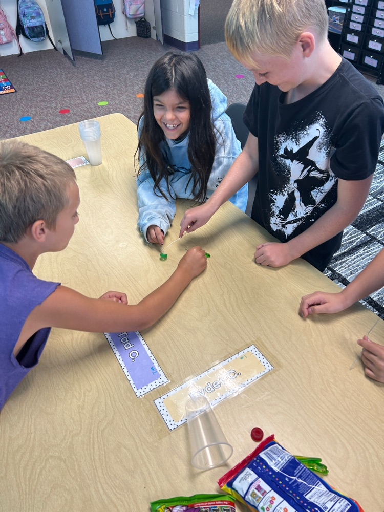 Miss Hollar’s 3rd grade did a team building activity called “Save Fred”. They had to get the gummy worm from the top of the cup to inside the lifesaver only using paper clips. They had so much fun and there was a lot of giggles! #HESRedHawks 