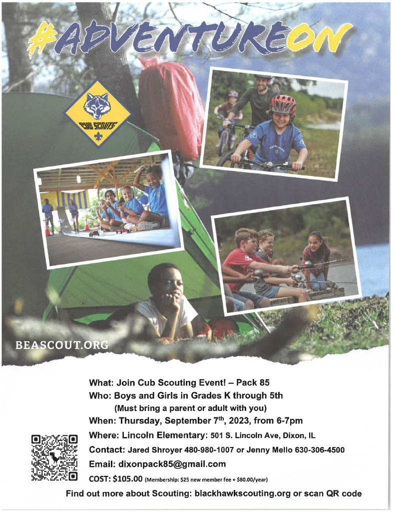 Picture of cub scouts kids