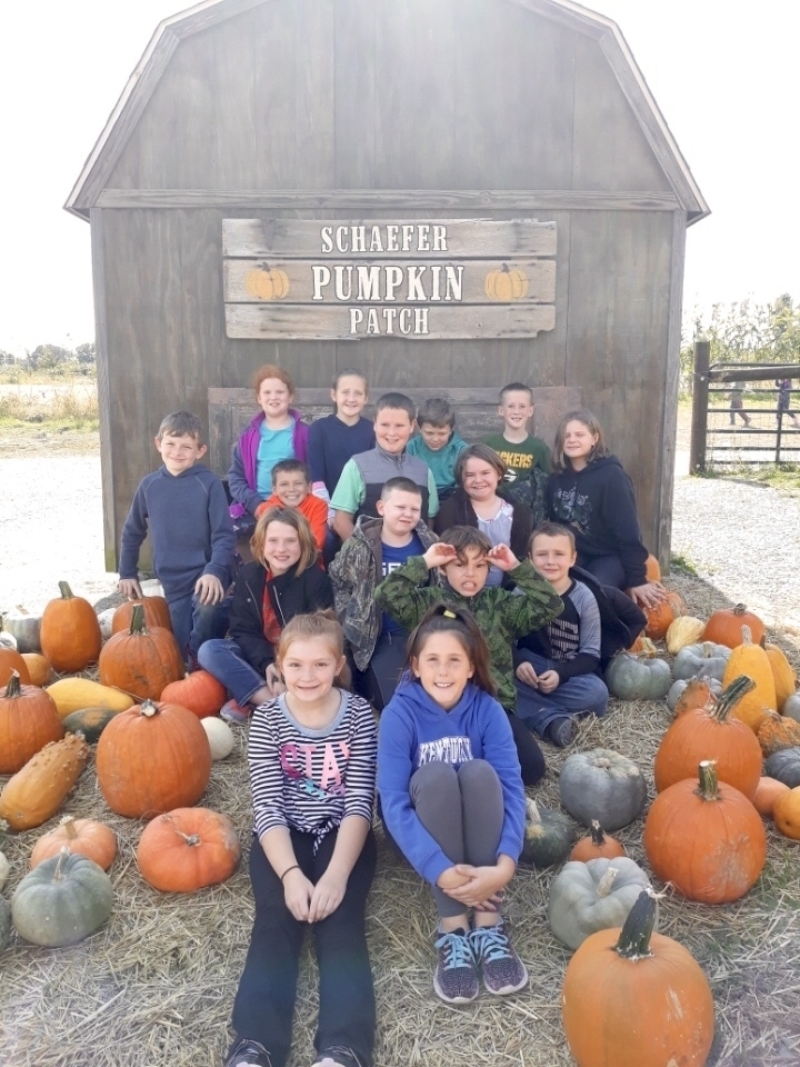 Pumpkin Patch