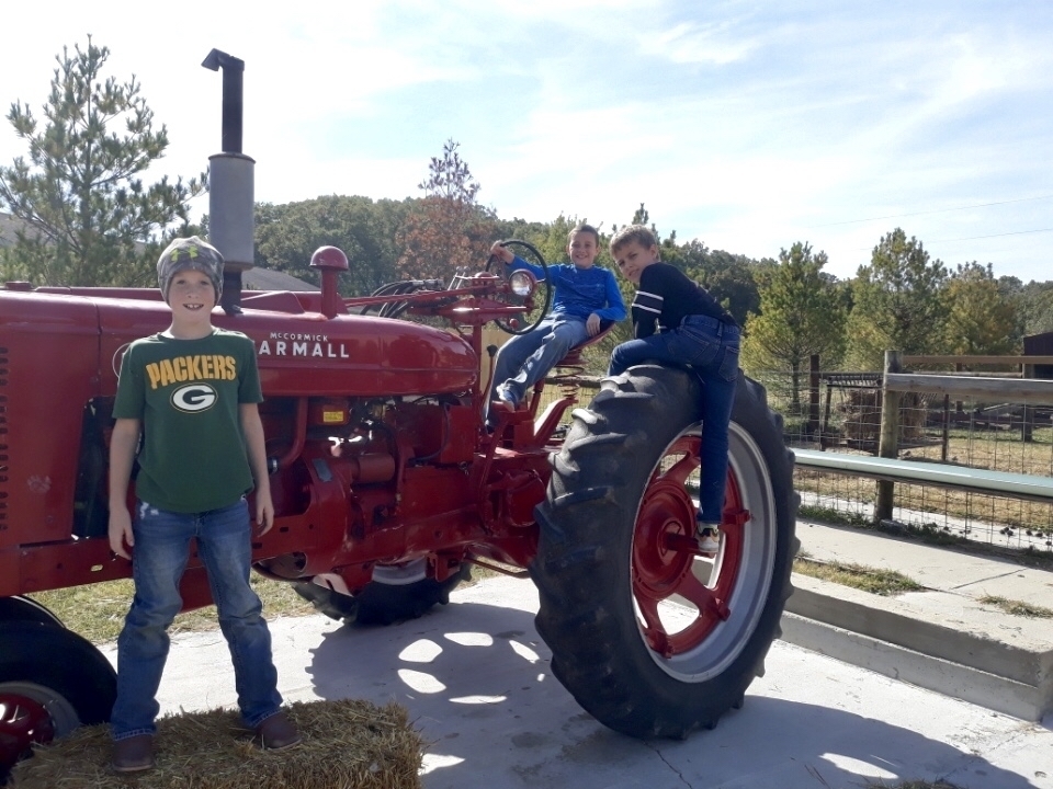 Pumpkin Patch