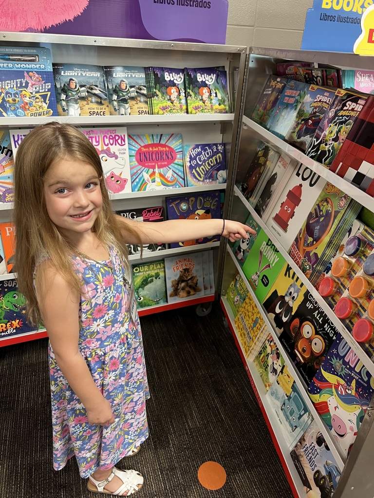 Book Fair Preview