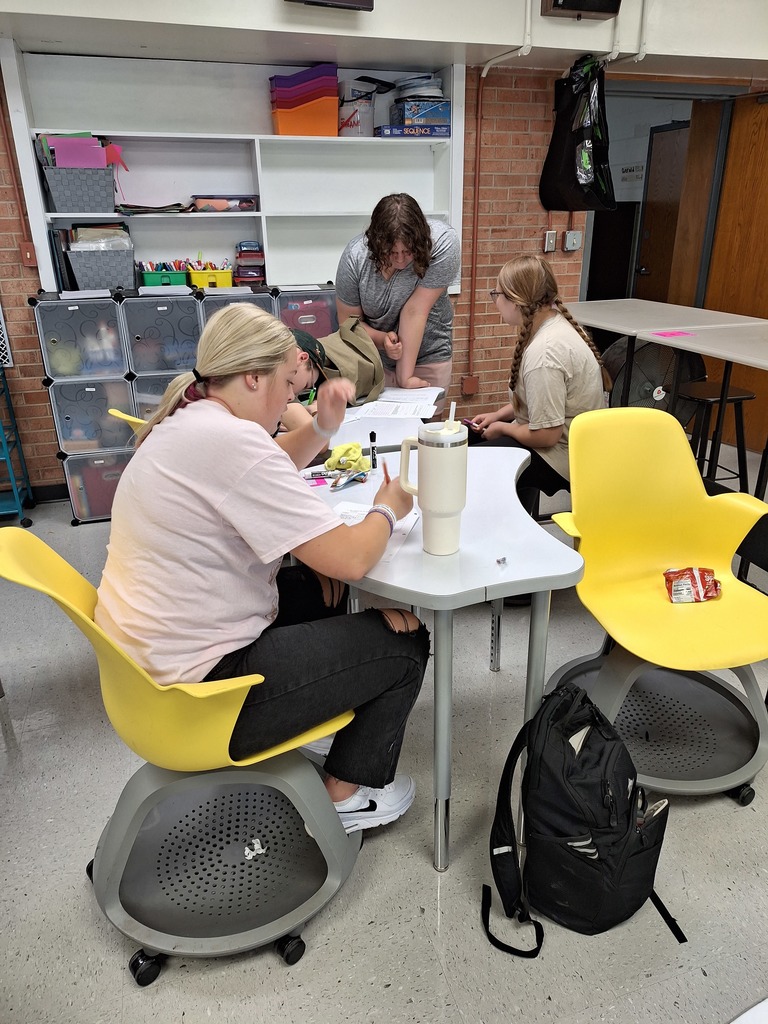 Students working in groups
