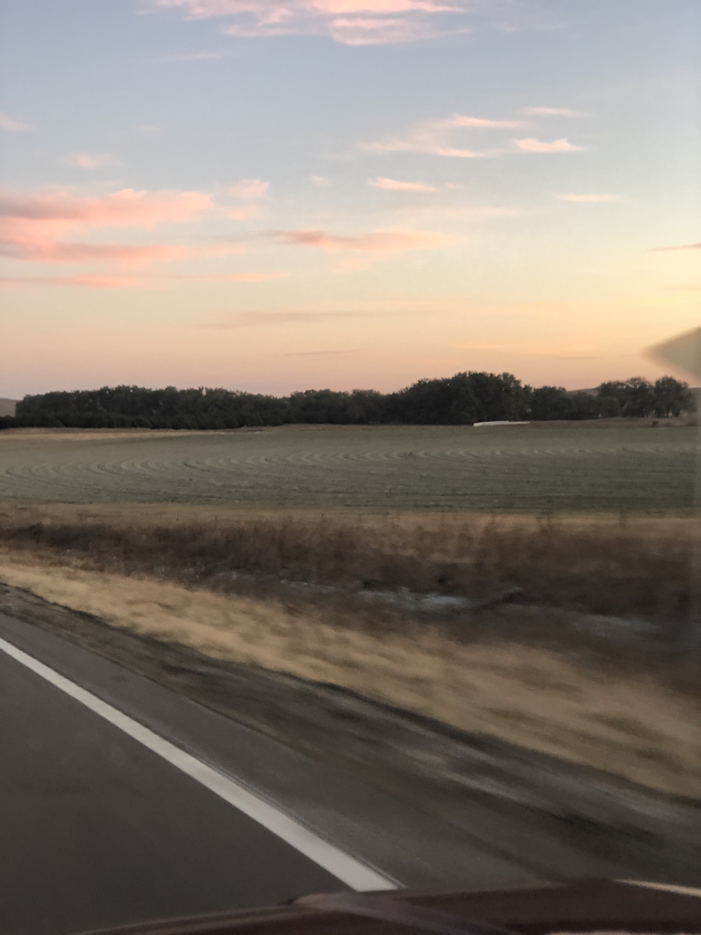 Early morning hay field