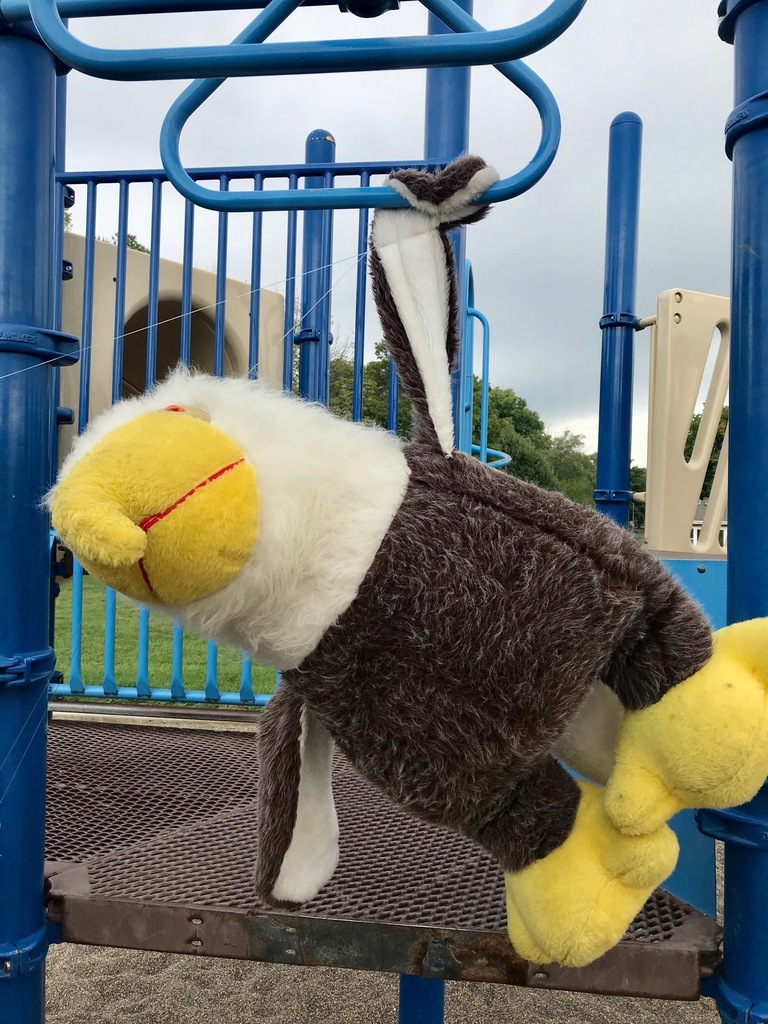 Stuffed Eagle hanging from his wing on the playground.