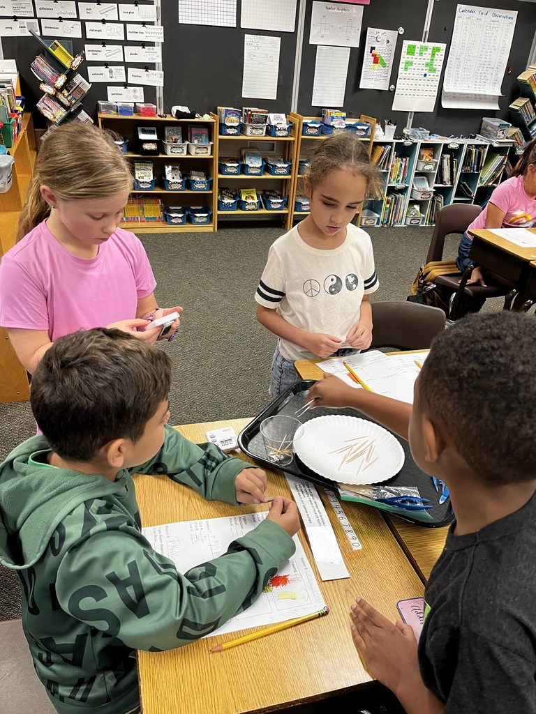 3rd Grade Scientists