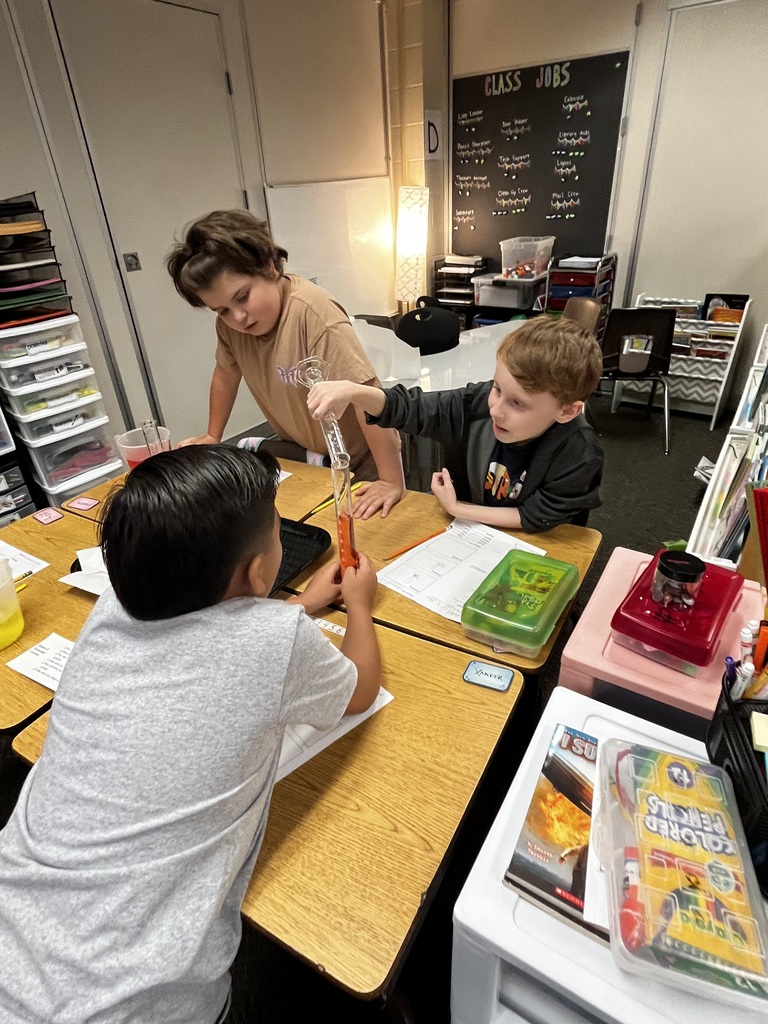 3rd Grade Scientists