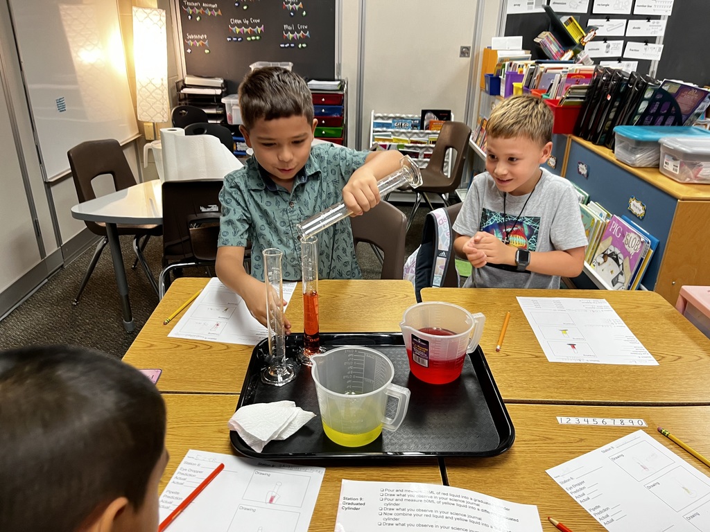 3rd Grade Scientists