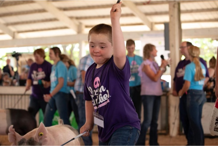student leading pigs