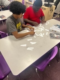 Students sorted literary genres based off of characteristics.