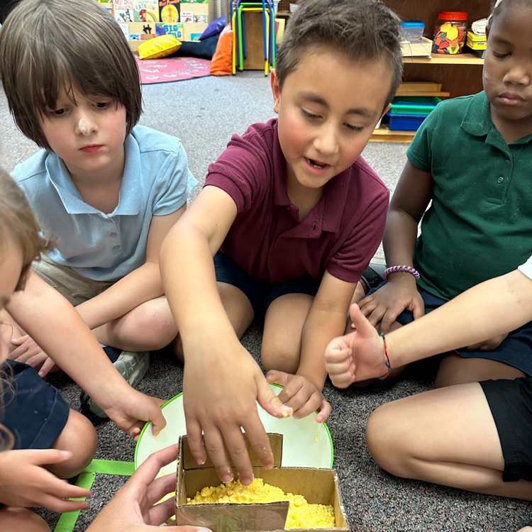 molding the school bus