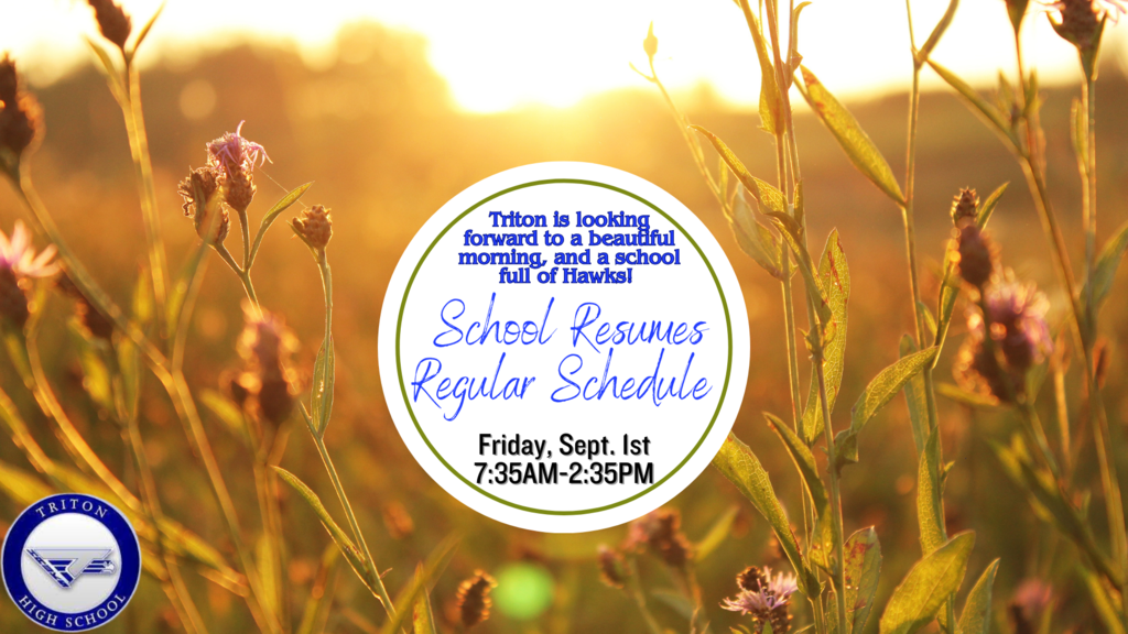 Regular schedule resumes tomorrow