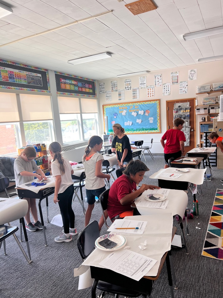 Class observations of worms