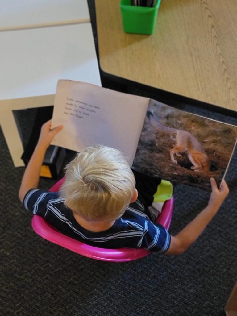 Reading Roadrunners