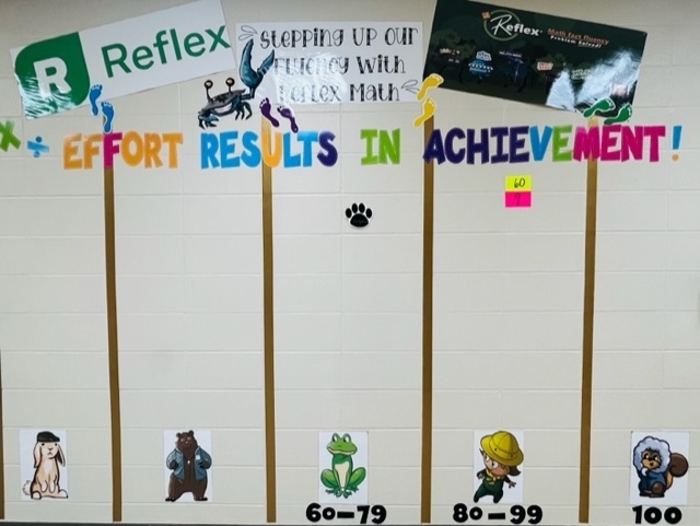 Math Fluency Monitoring