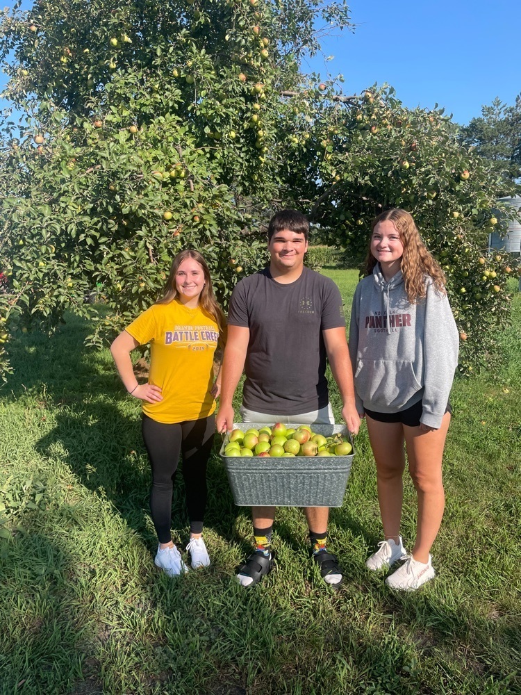 picking apples