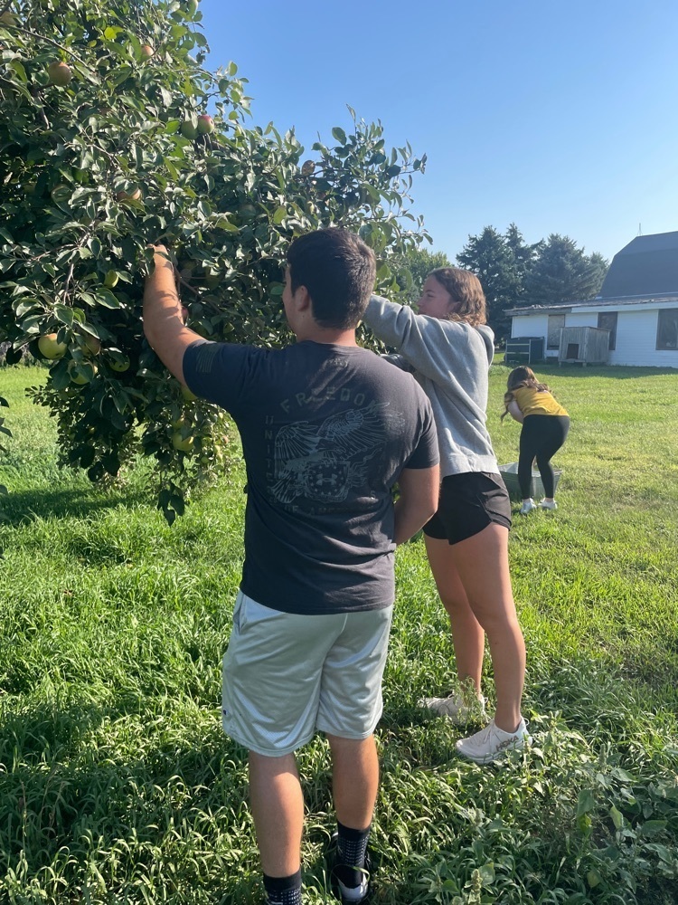 picking apples