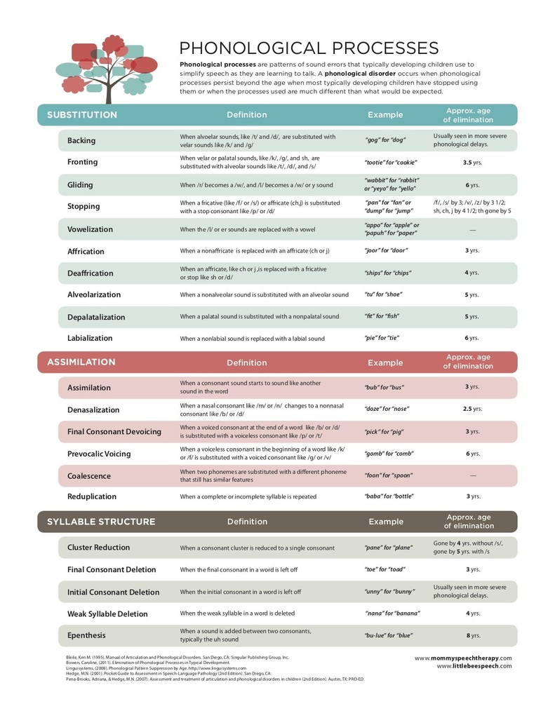 Phonological Processes