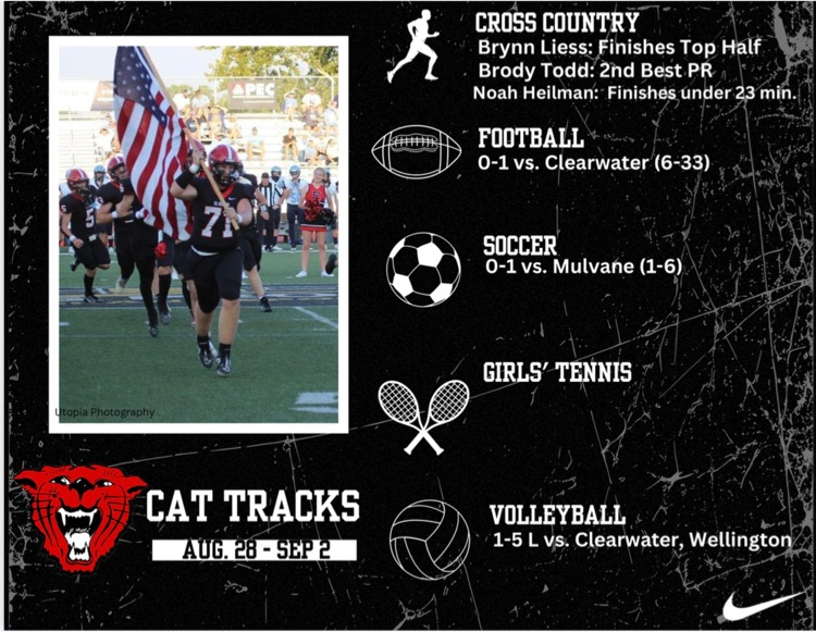cat tracks