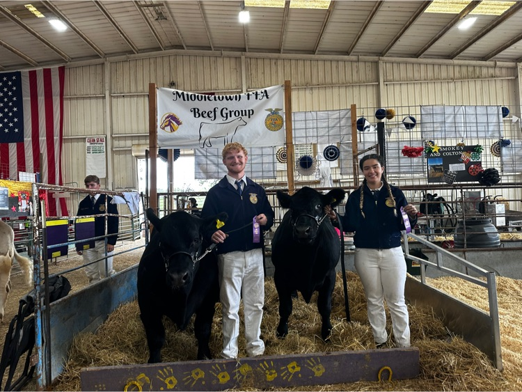 Pigs:  Mazzi got 5th place novice showmanship  Goats: Shay got 3rd novice showmanship and 5th advanced showmanship   Turkeys:  Deasare-1st novice showmanship and 2nd advanced showmanship  Allyson-3rd novice showmanship 