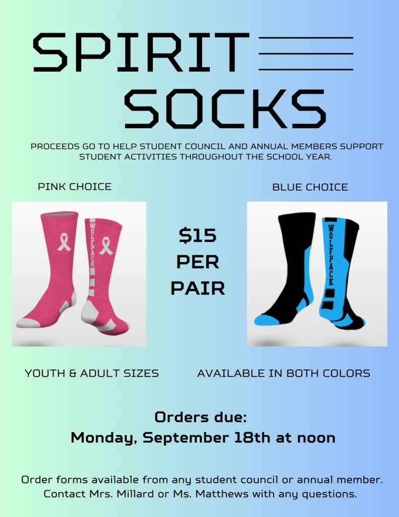 Get your spirit socks here!
