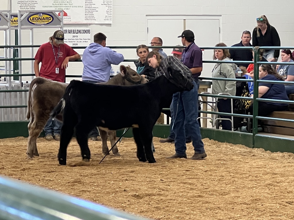 Cord wants to breed and sell his own cattle someday!