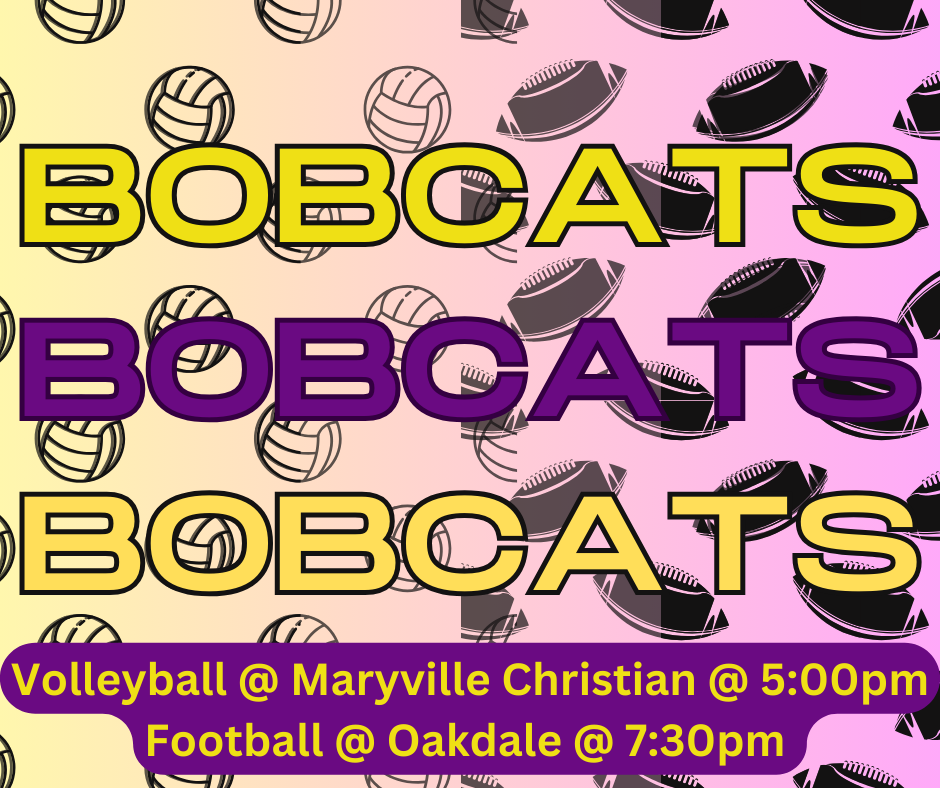 volleyball and footballs with BOBCATS x3