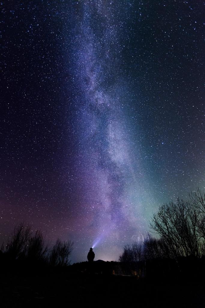Stargazing Night