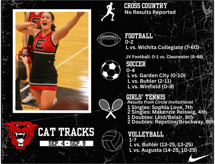 cat tracks