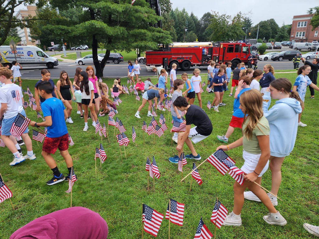 Field of Flags