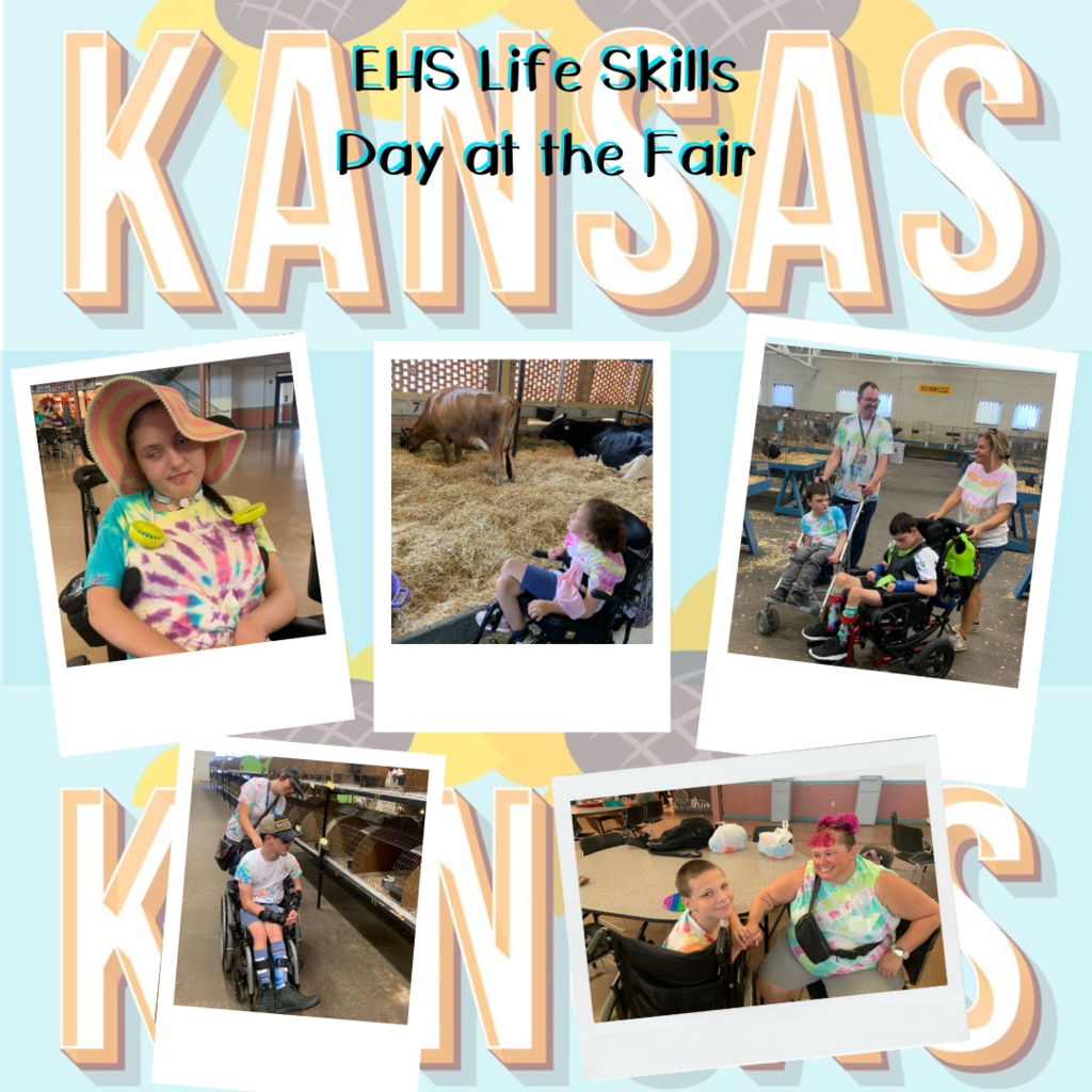 Life Skills at the Fair