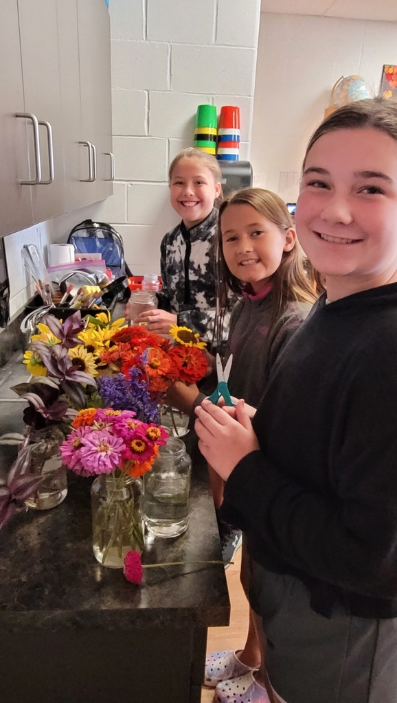 color wheel bouquets 