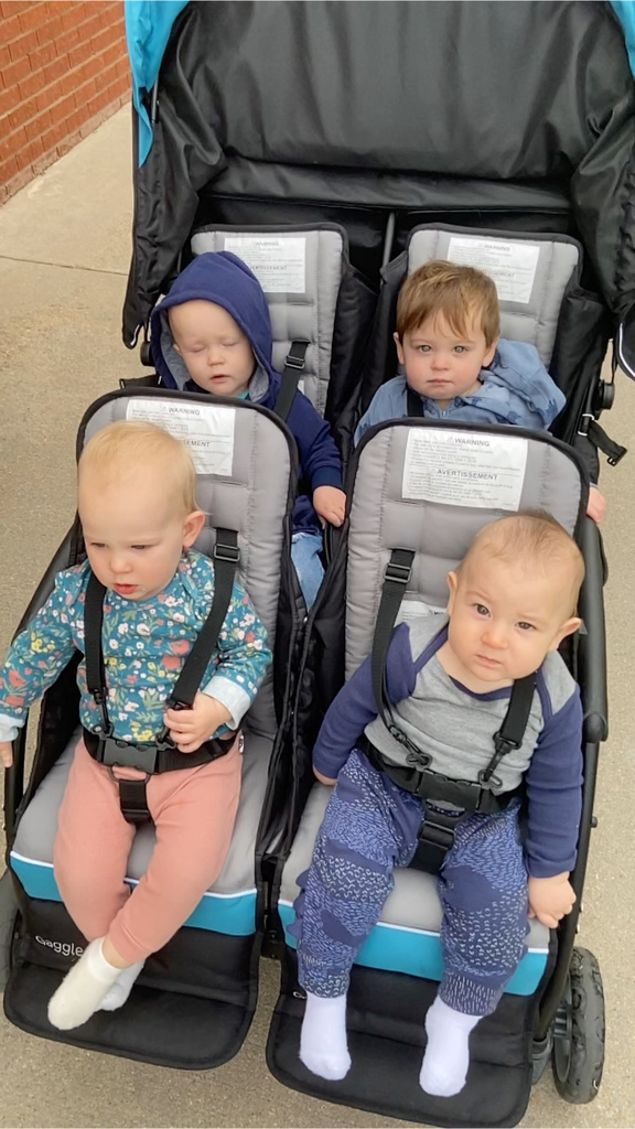 Ran across these cute baby broncs while weeding flowerbeds