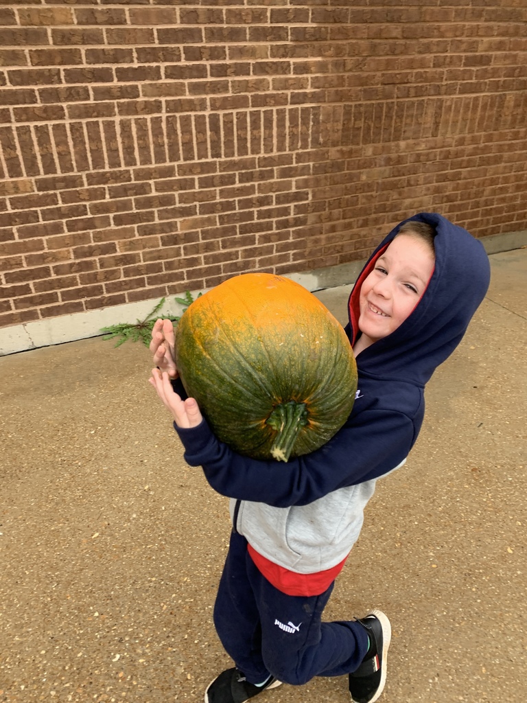 Boy Pumpkin