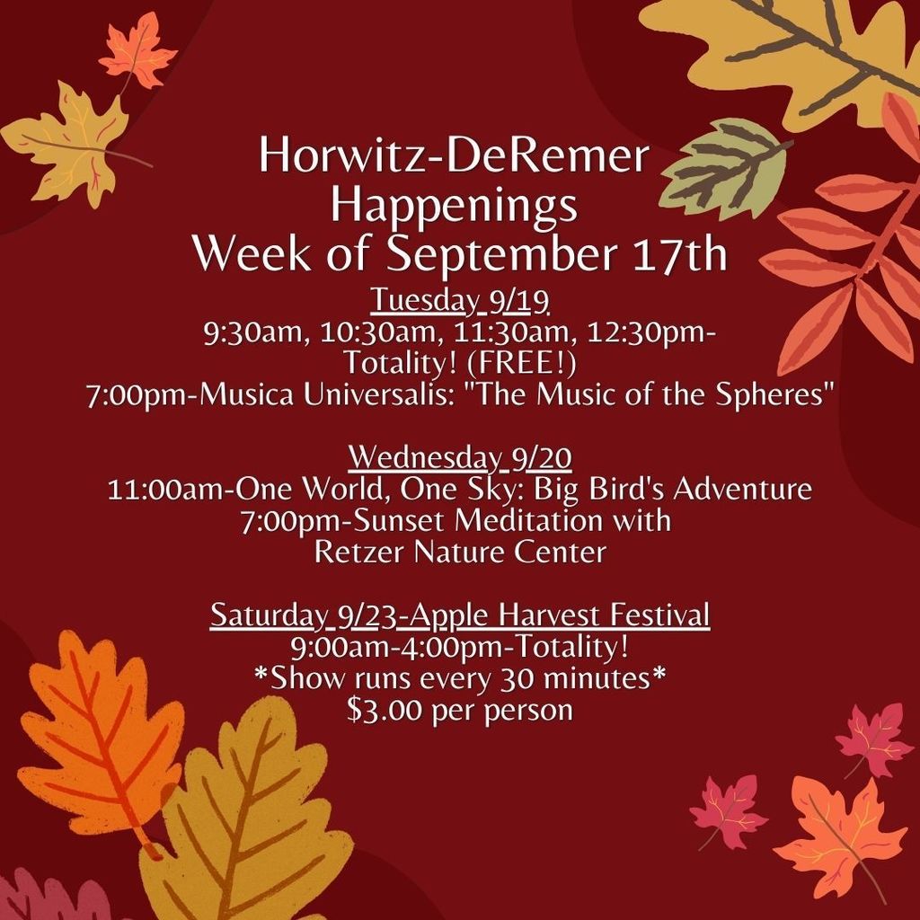 Outline for the week