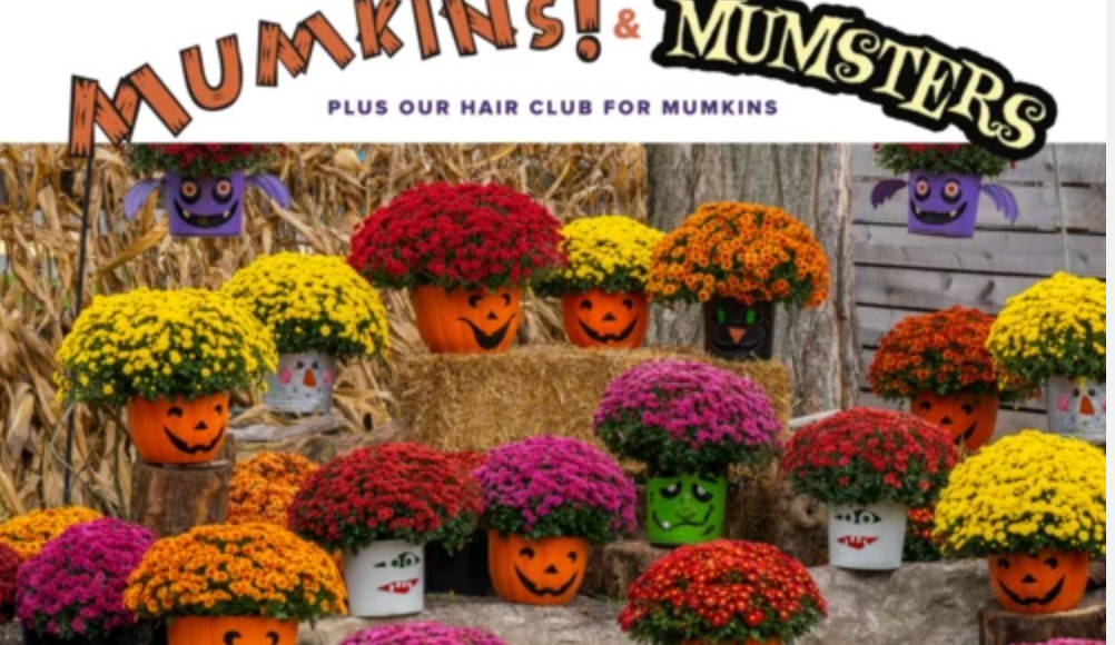Mumkins pick up photo