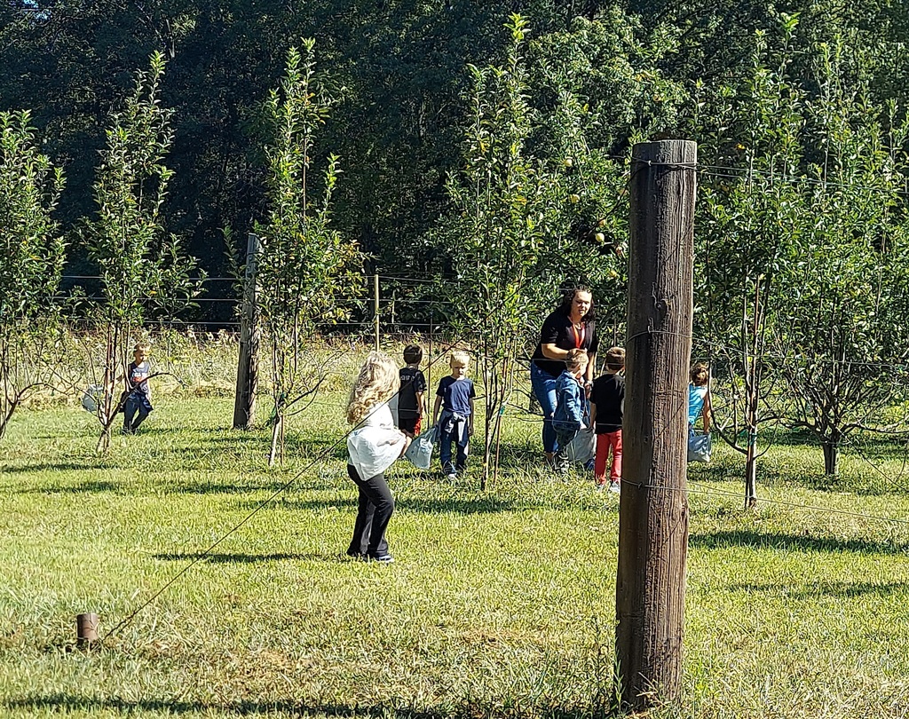 K Field Trip