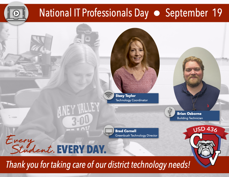 IT Professionals Day