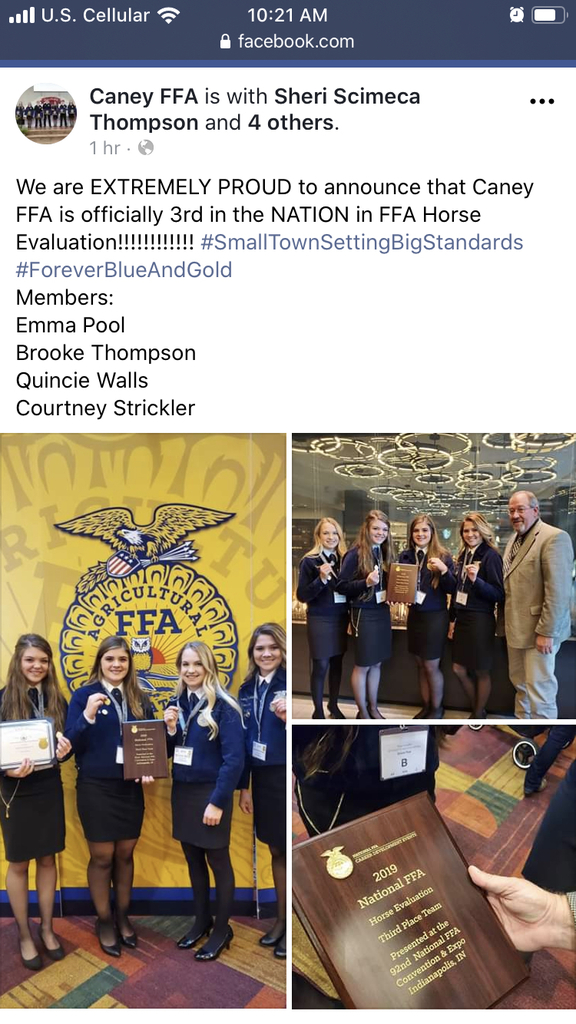 FFA horse evaluation team