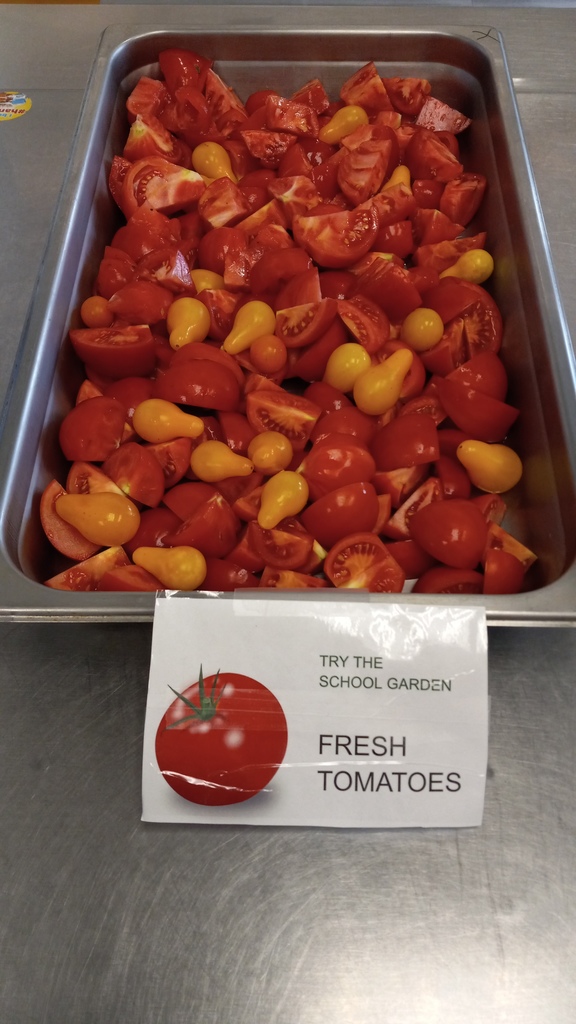 Try the tomatoes from the school garden