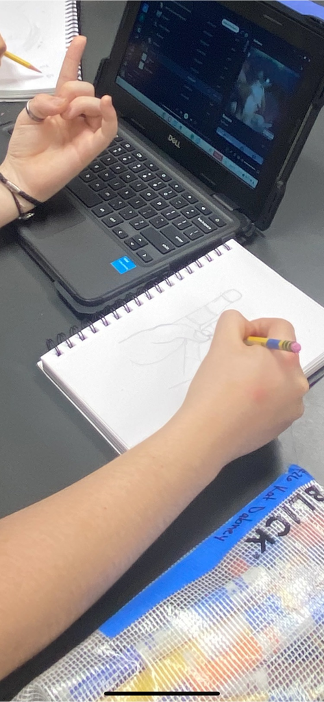 Art 1 students started their contour unit today! Here they are practicing blind continuous contour, continuous contour and contour drawings of their hands 