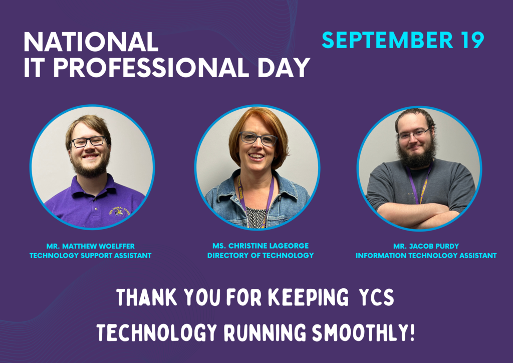 IT Professional Day