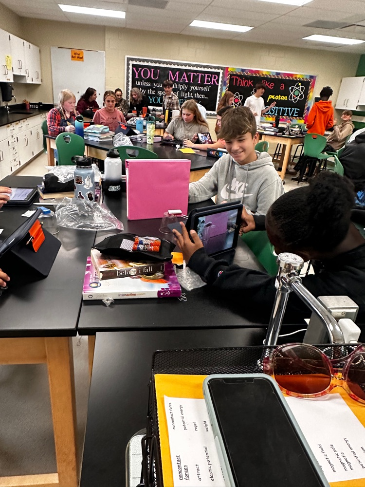 lab