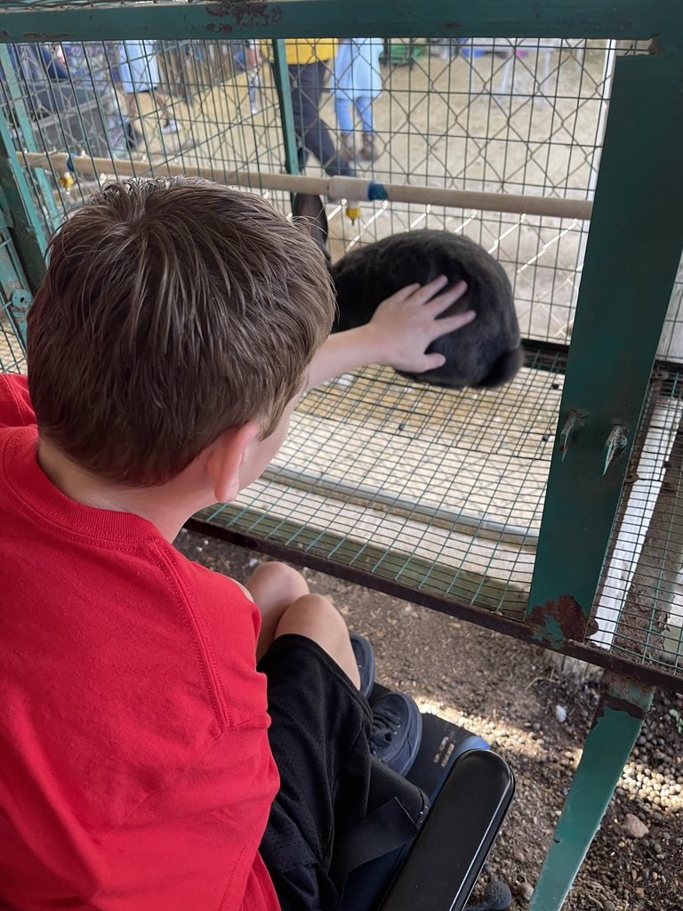 Ag Day Fair Pictures