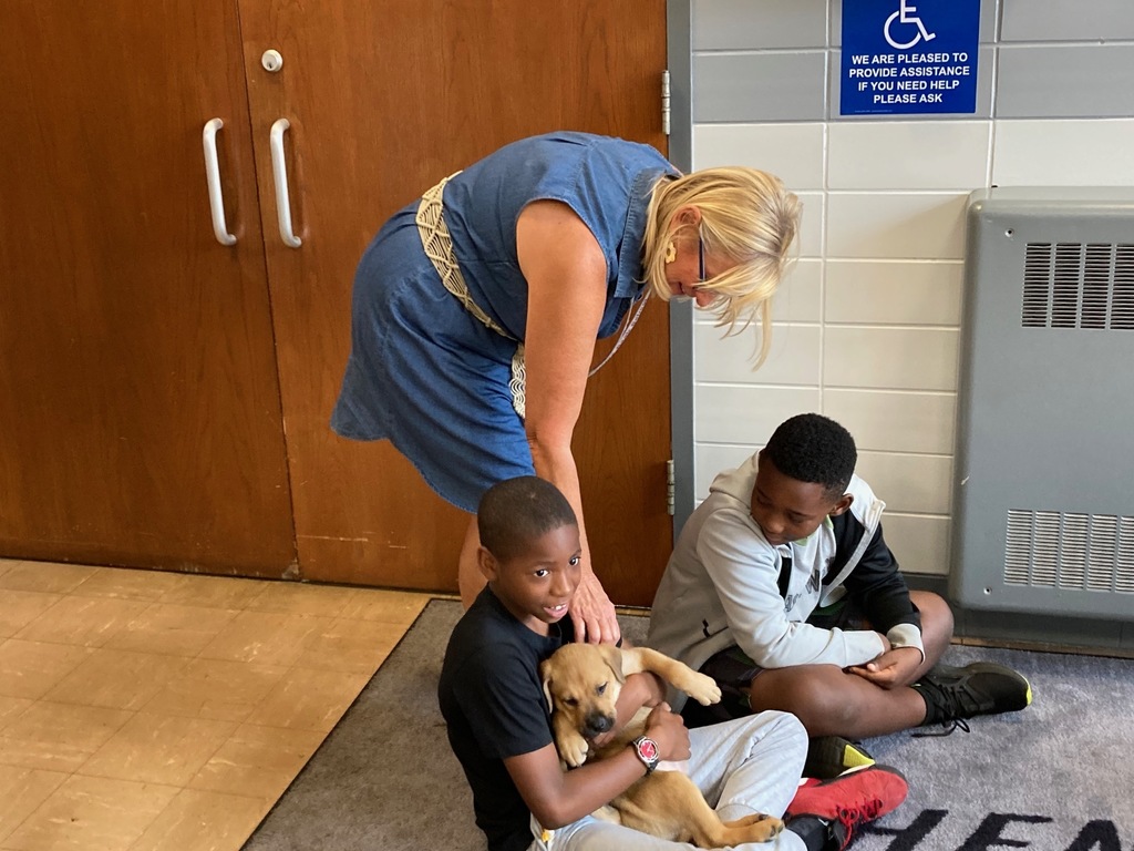 Puppies