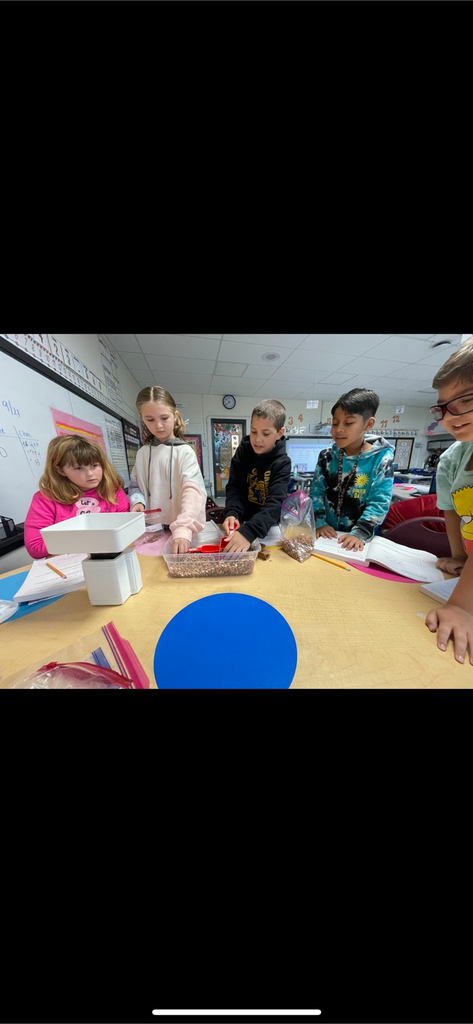 Sorting beans 4th grade