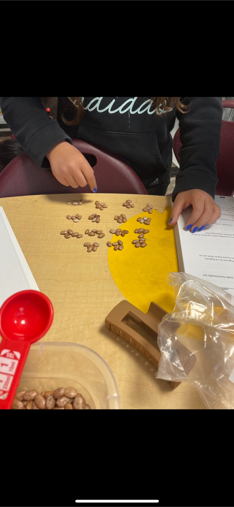 Sort beans 4th grade