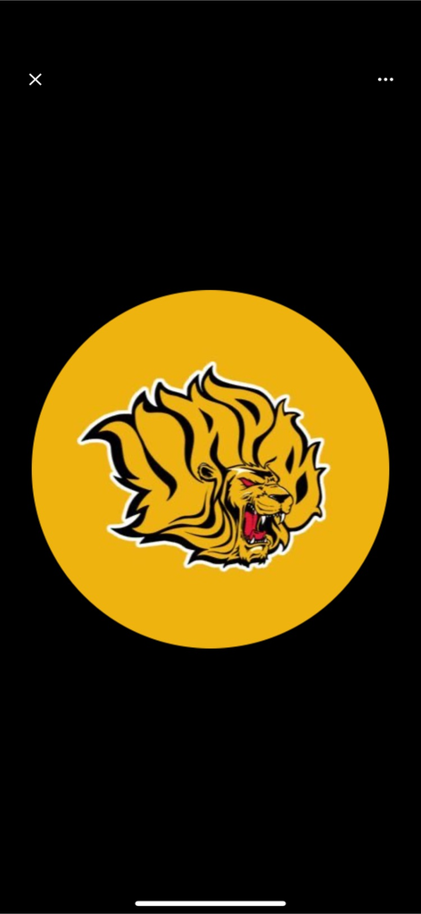 lions