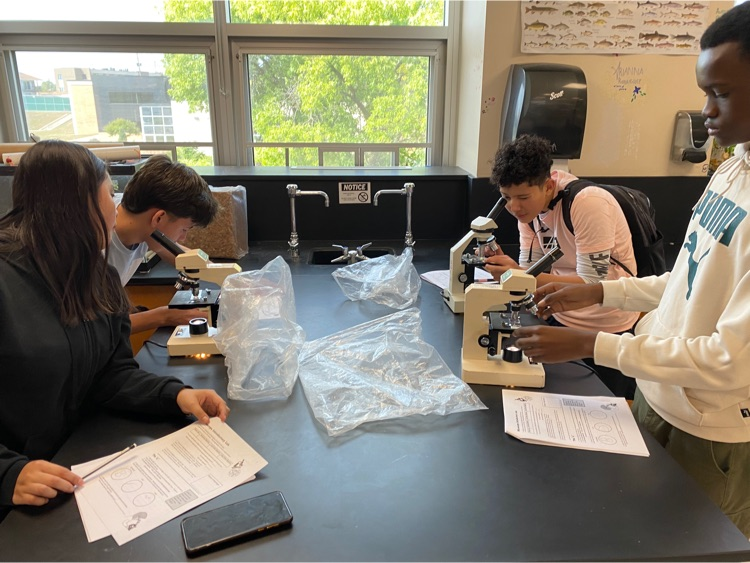 Students using microscope’s